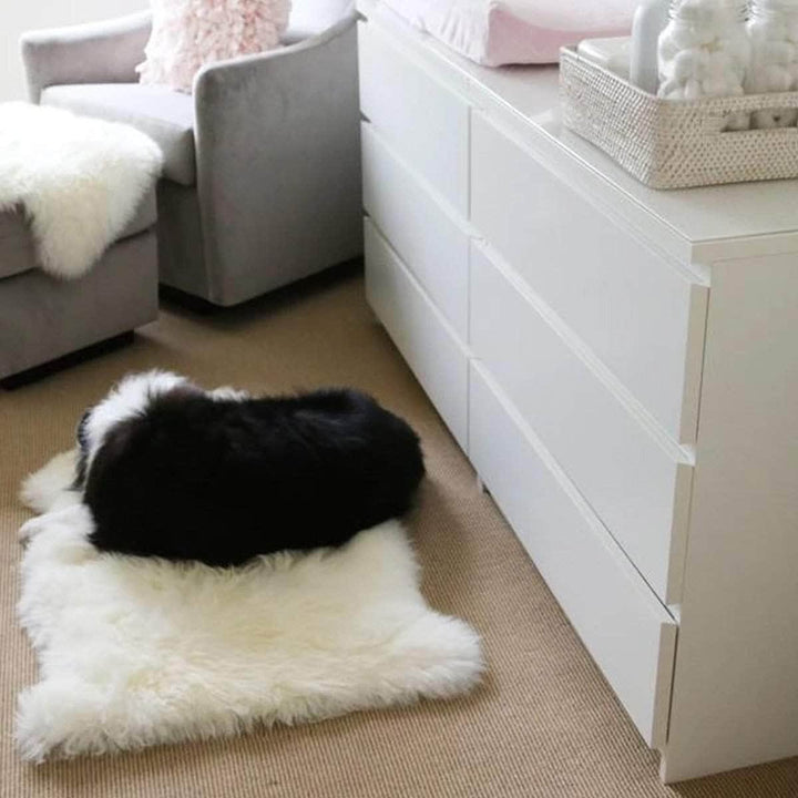 PREMIUM Sheepskin Wool Rug - UGG Direct Online